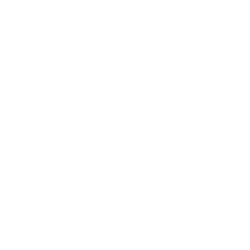 Daedalus Wallet